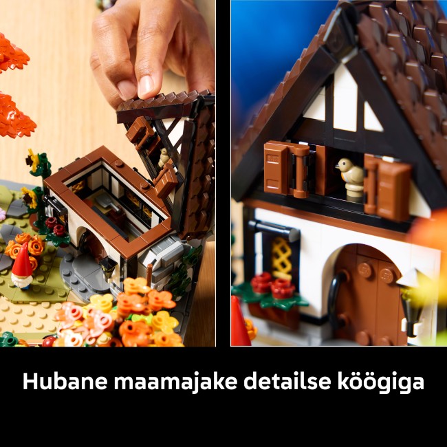 11372 Syksyinen mökkipuutarha