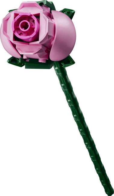 10374 Roosa roosikimp