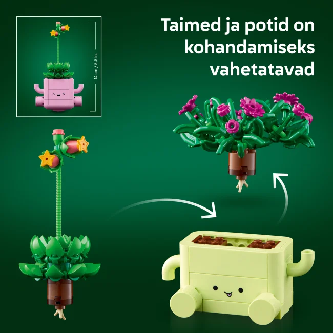 11506 Kiikuvad taimed