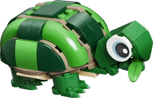 31377 Kilpkonn vesiroosiga