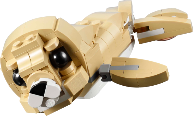 31162 Söpö pupu