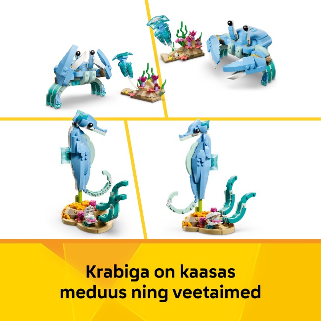 31385 Jūras dzīvnieki: Skaistie delfīni