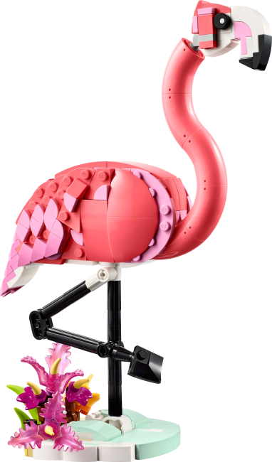 31170 Villieläimet: vaaleanpunainen flamingo
