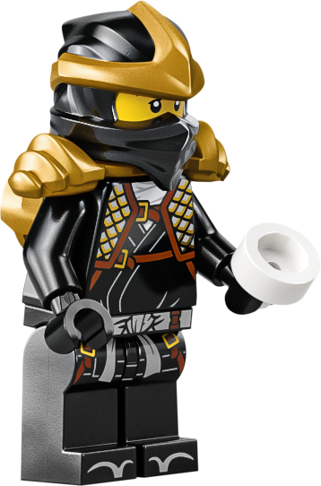 71866 Ninjategelaste väljapanek, 15. aastapäev