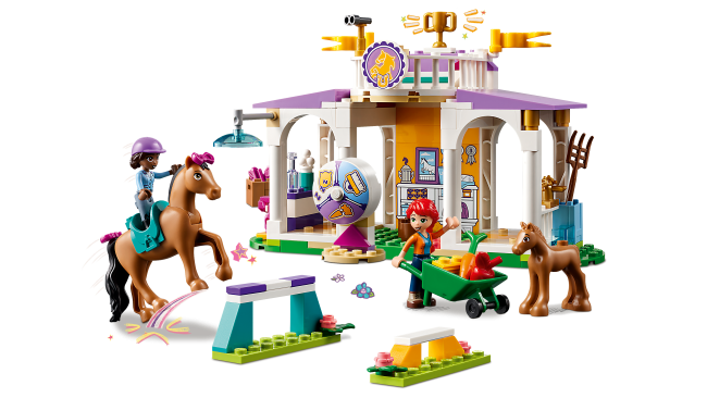 41746 Ratsastustunti