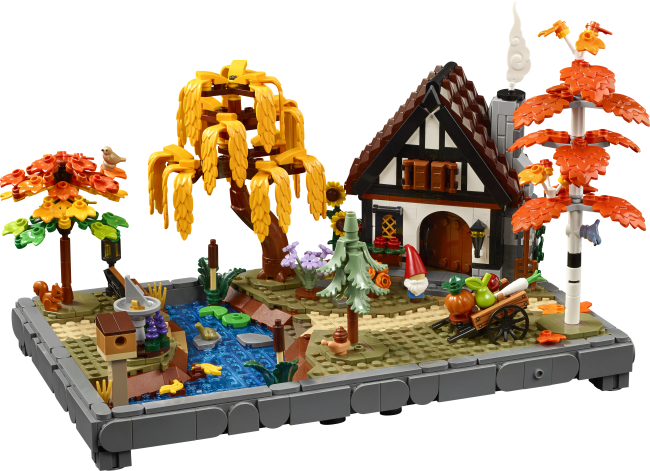 11372 Syksyinen mökkipuutarha