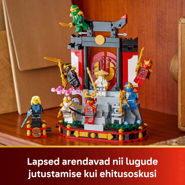 71866 Ninjategelaste väljapanek, 15. aastapäev