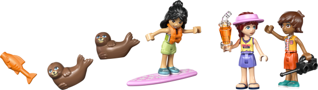 42699 Rannamaja hüljestega