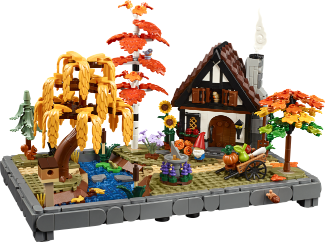 11372 Syksyinen mökkipuutarha