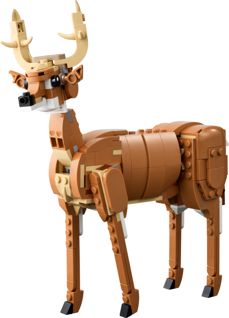 31166 Kaunis hobune