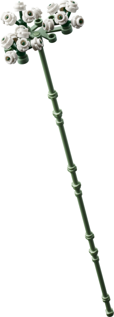 10374 Roosa roosikimp