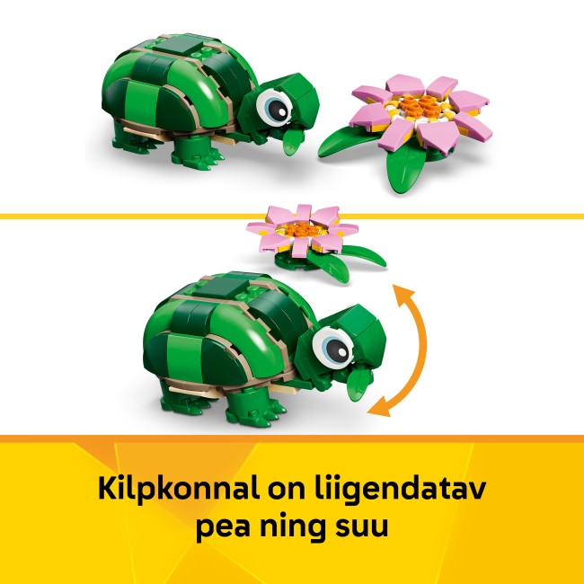 31377 Kilpkonn vesiroosiga