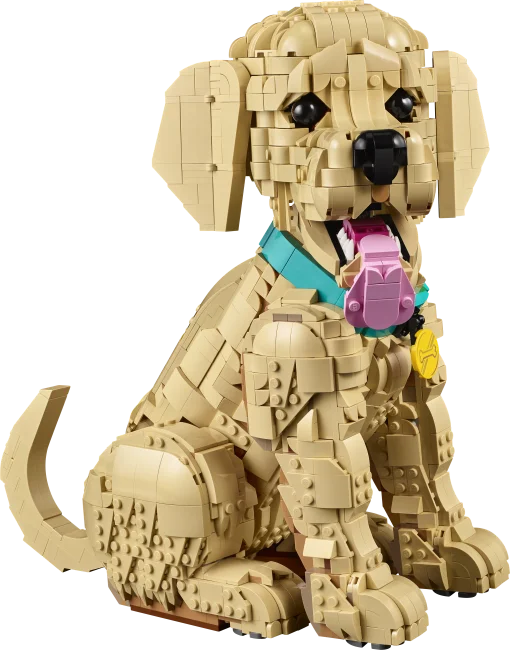 11384 Kultaisen noutajan pentu