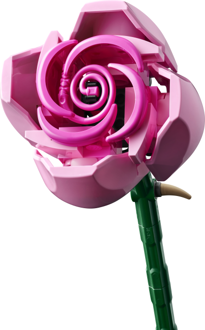 10374 Roosa roosikimp