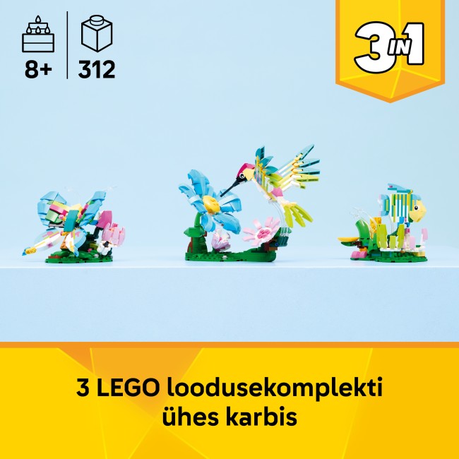 31384 Metsloomad: Värviline koolibri