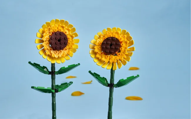 40524 Подсолнухи