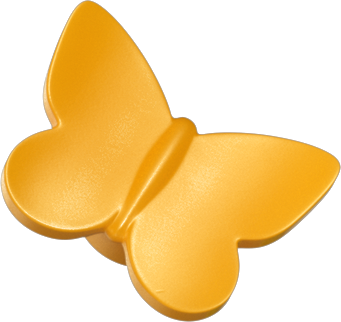 42699 Rannamaja hüljestega