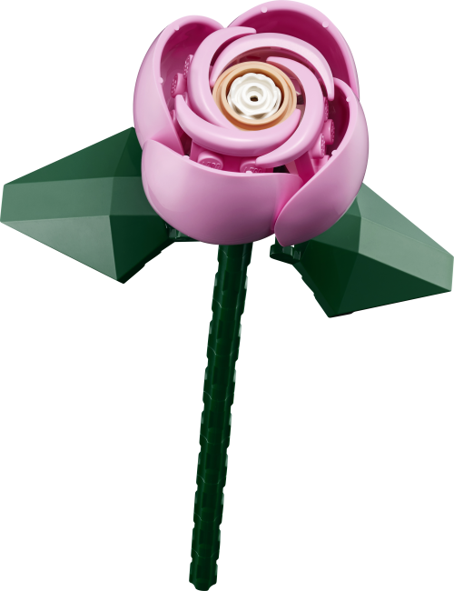 10374 Roosa roosikimp