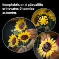 11502 LEGO Botanicals Auringonkukkakimppu