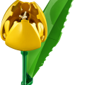 11501 LEGO Botanicals Tulbikimp