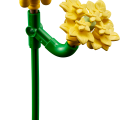 10347 LEGO Botanicals Pieni aurinkoinen kukkakimppu