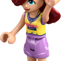 42666 LEGO  Friends Kissan synttärijuhlat ja puumaja