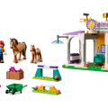 41746 LEGO  Friends Ratsastustunti