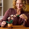 10343 LEGO Botanicals Miniorkidea