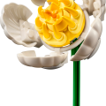 10347 LEGO Botanicals Pieni aurinkoinen kukkakimppu