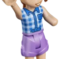 42703 LEGO  Friends Аттракцион «Горки русалок»