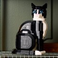 21349 LEGO  Ideas Smokingus kass​