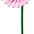 10347 LEGO Botanicals Pieni aurinkoinen kukkakimppu