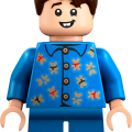 76454 LEGO Harry Potter TM Tylypahkan linna: Päärakennuksen torni