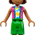 42658 LEGO  Friends Ükssarviku ja flamingo basseinipidu