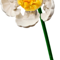 10347 LEGO Botanicals Pieni aurinkoinen kukkakimppu