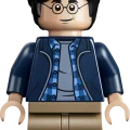 76475 LEGO Harry Potter TM Запретный лес: Экспекто патронум