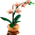 10343 LEGO Botanicals Miniorkidea