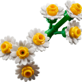 10347 LEGO Botanicals Pieni aurinkoinen kukkakimppu