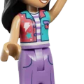 42700 LEGO  Friends Kommi- ja koogivaateratas