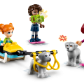 41760 LEGO  Friends Igluseikkailu