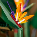 10289 LEGO Icons Paradiisilind