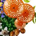 11505 LEGO Botanicals Meža sēnes
