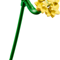 10347 LEGO Botanicals Pieni aurinkoinen kukkakimppu