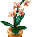10343 LEGO Botanicals Miniorkidea