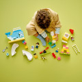 10991 LEGO DUPLO Town Unelmien leikkipuisto
