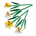 40747 LEGO  Iconic Narsissit