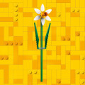 40747 LEGO  Iconic Narsissit