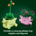 11506 LEGO Botanicals Kiikuvad taimed