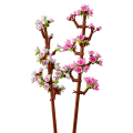 40725 LEGO  Iconic Kirsikankukat
