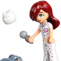 42647 LEGO  Friends Paisleyn huone